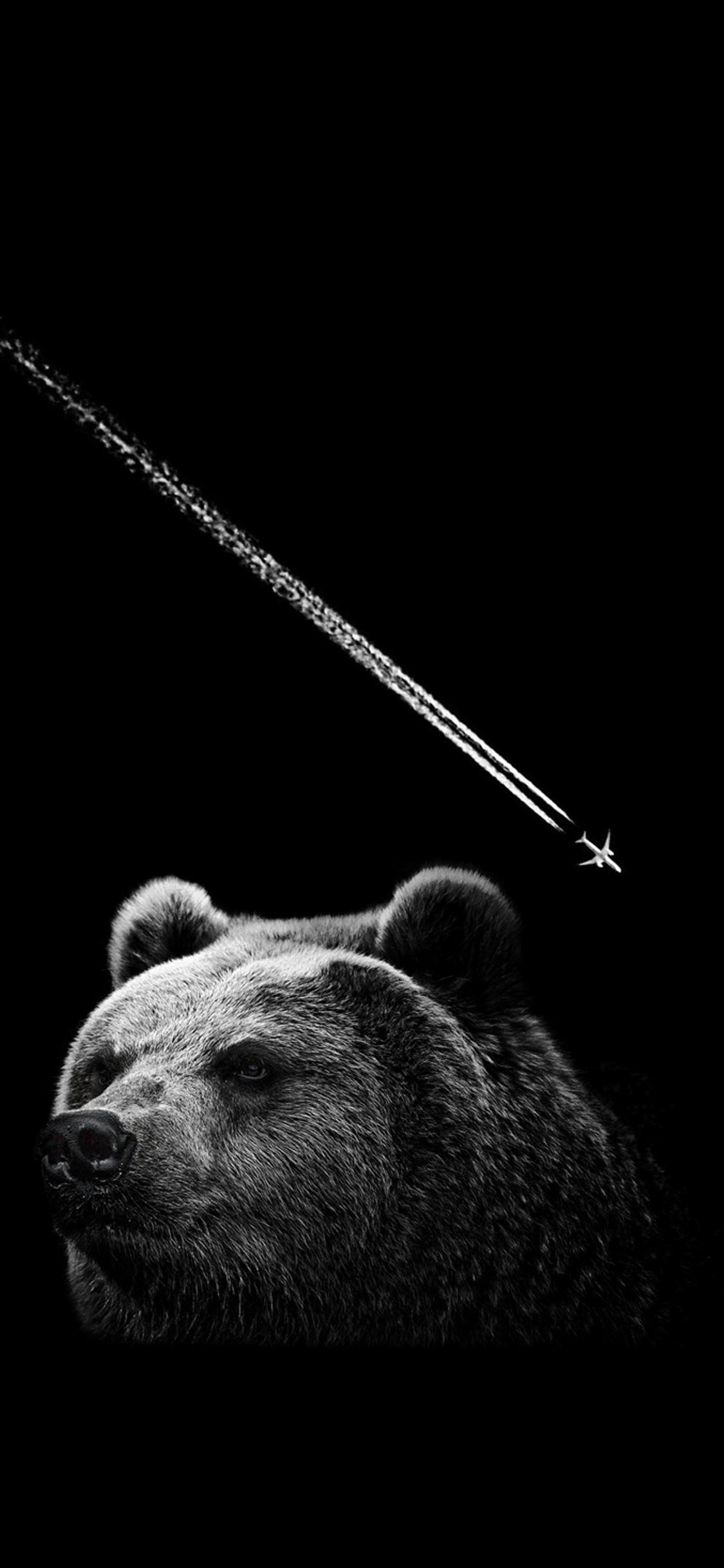 1125x2436 Embrace the Bear Market with this Background [Dark Mode]