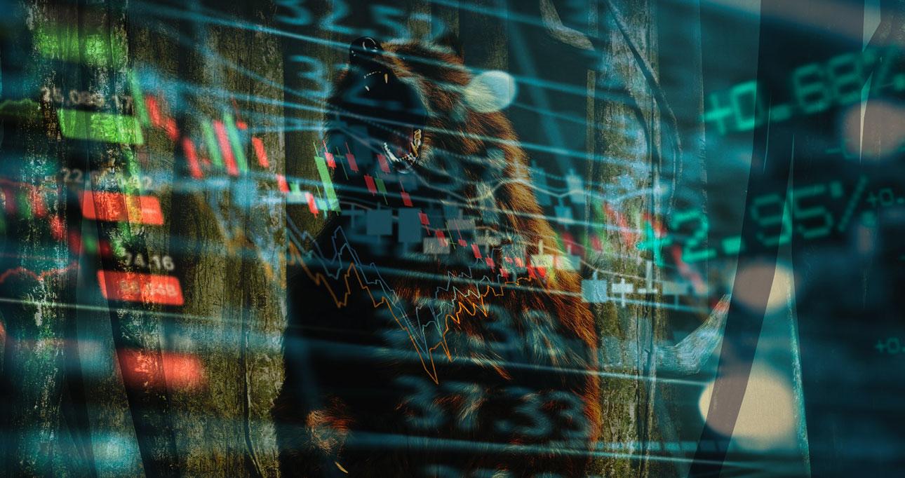 1290x682 Surviving a Bear Market
