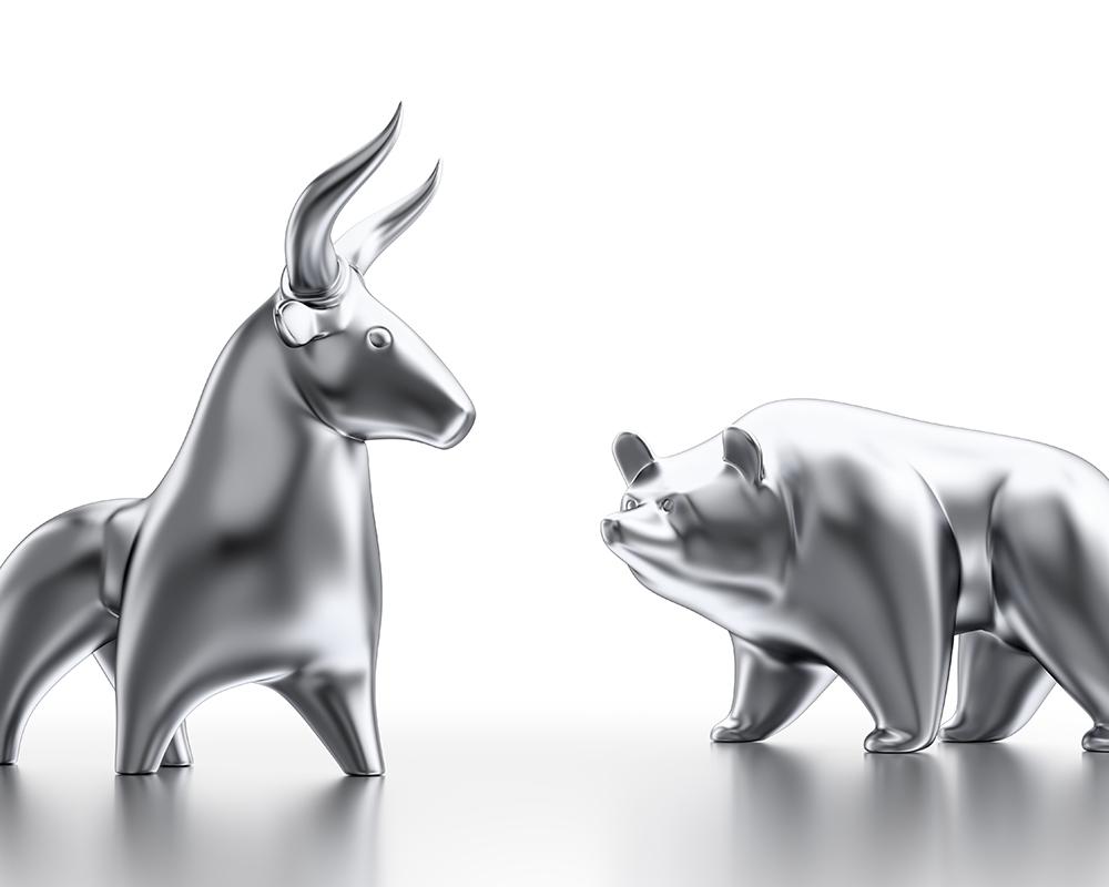 1000x800 Bear in Mind Wealth Management