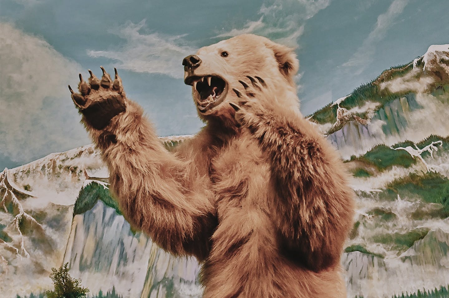 1440x956 Bear Market Winners
