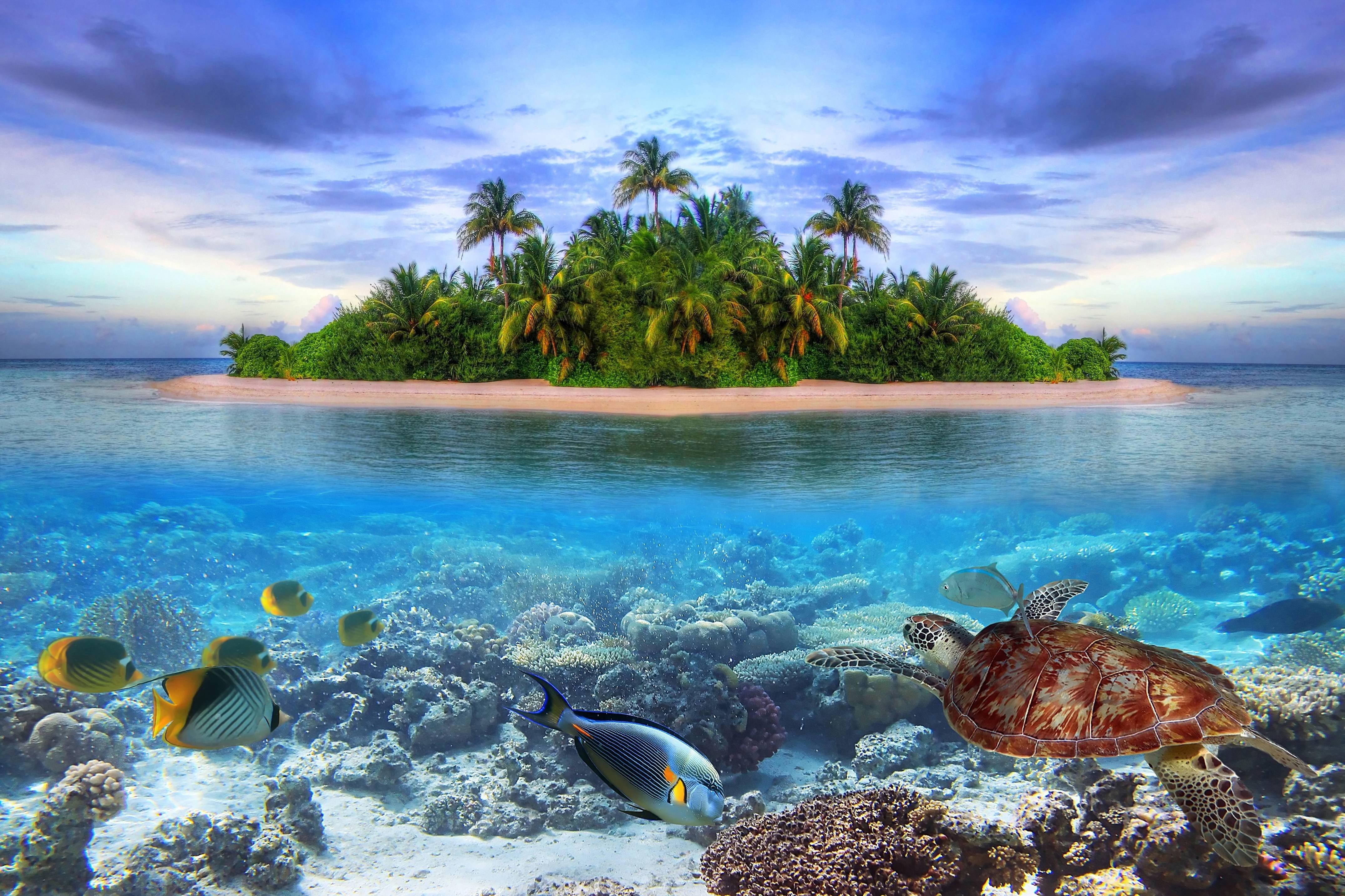 4300x2867 Wallpaper. Nature. photo. picture. nature, island, the ocean, the sky, jungle