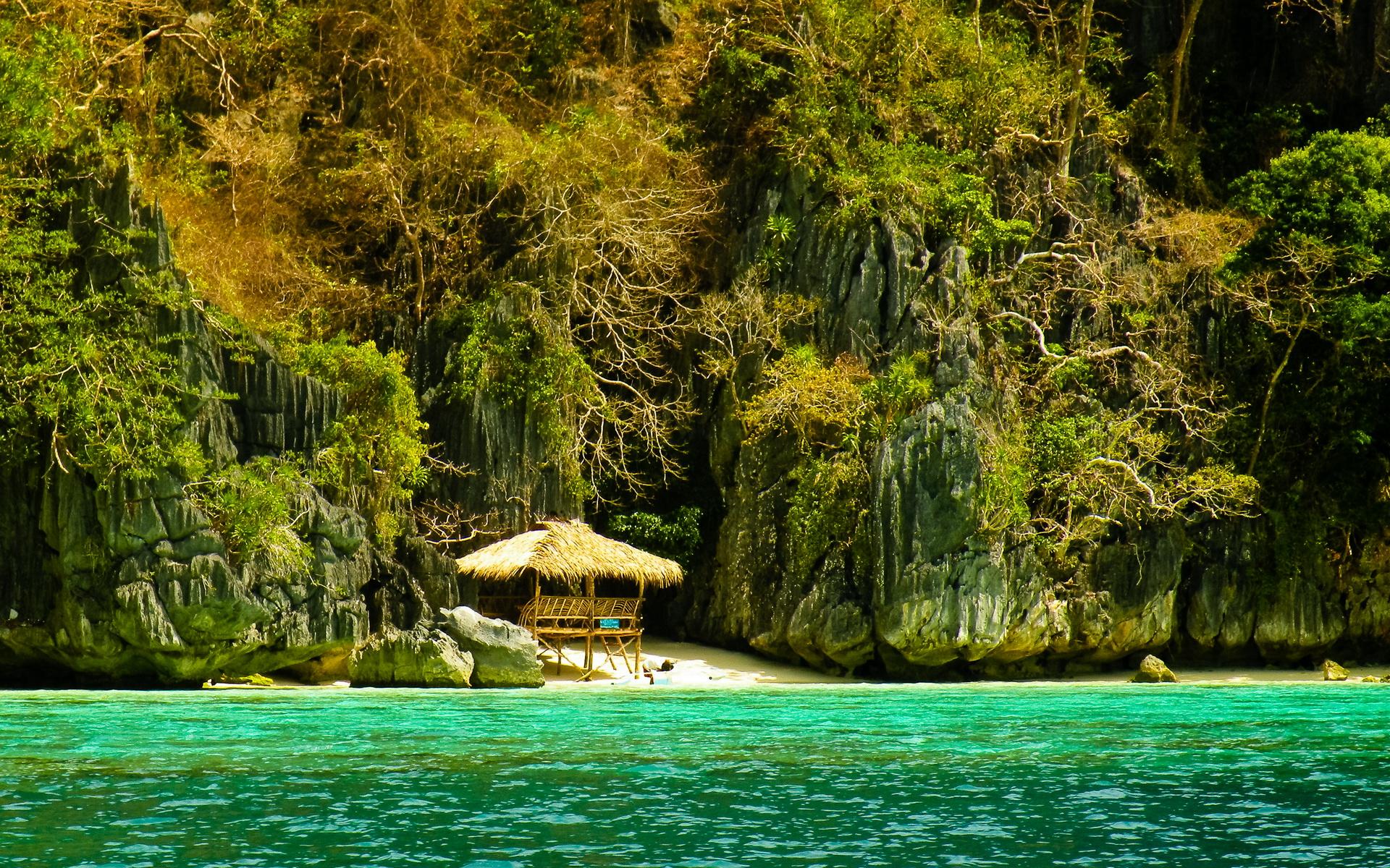1920x1200 HD desktop wallpaper: Beach, Earth, Tropical, Jungle download free picture