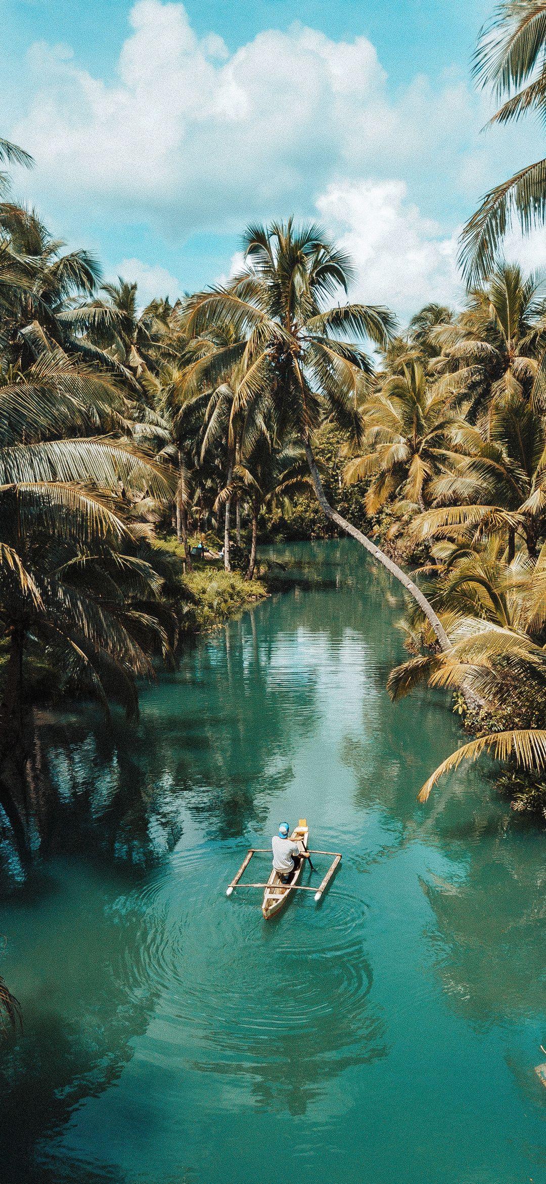 1080x2340 Beautiful Jungle Lake Wallpaper
