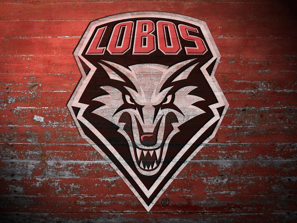 1024x768 UNM Wallpaper
