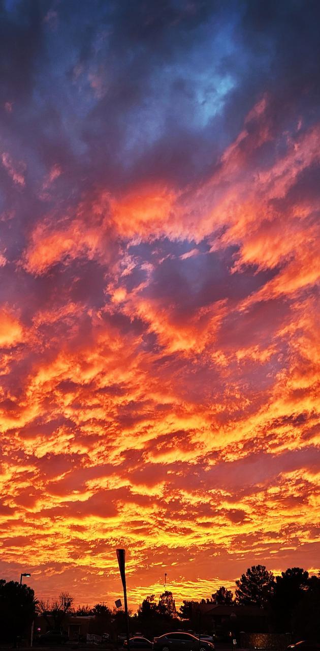 630x1280 New Mexico Sunset wallpaper