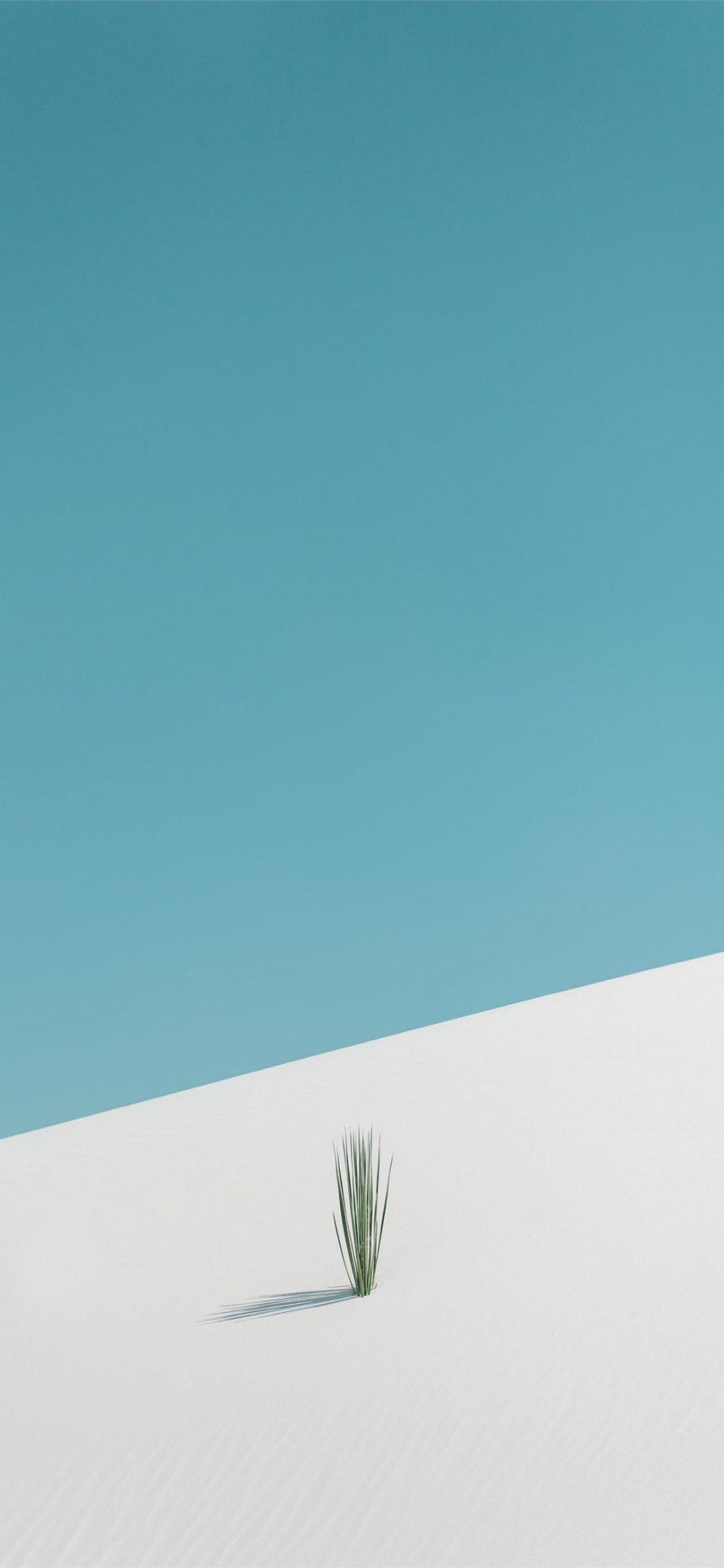 1125x2436 Best New mexico iPhone HD Wallpaper