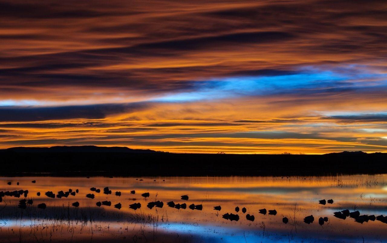 1280x804 New Mexico Wallpaper