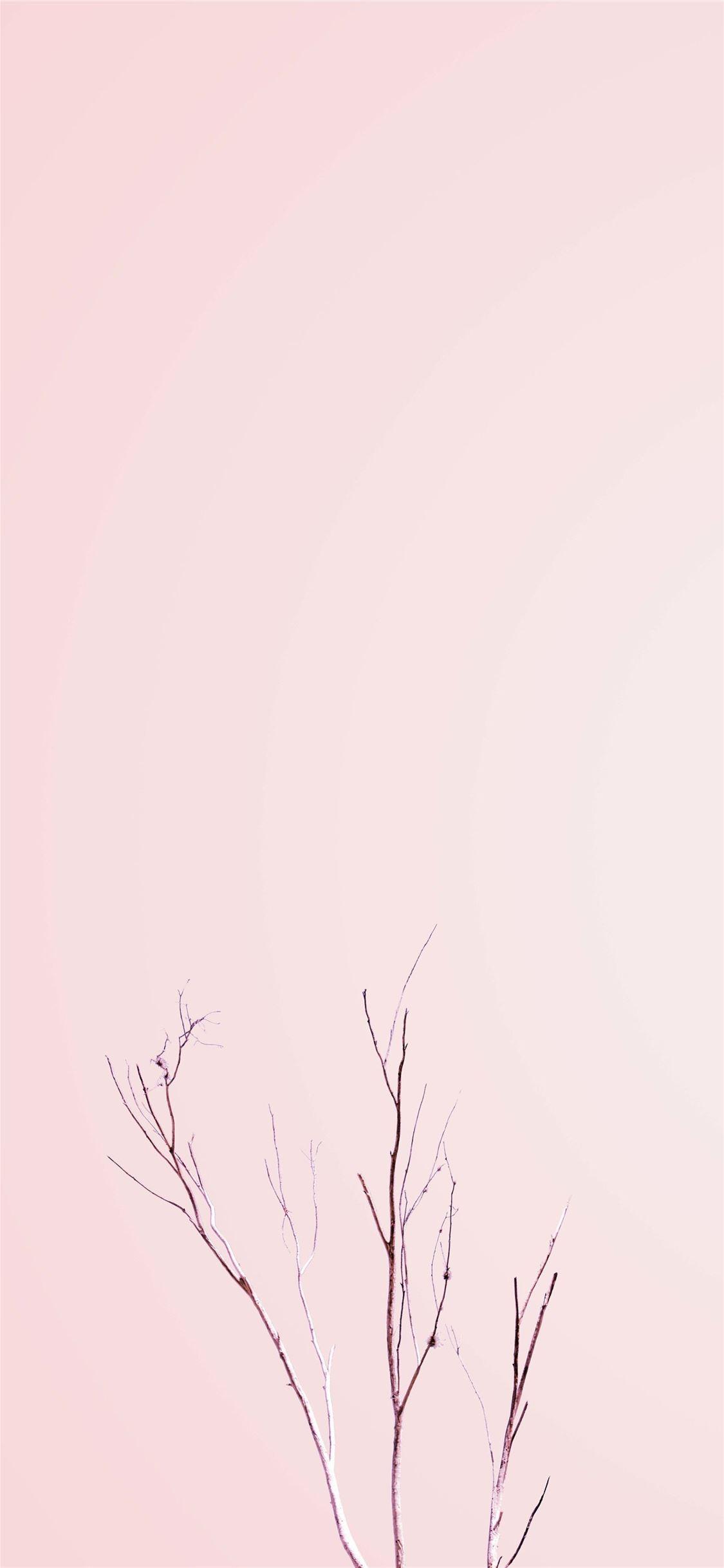 1125x2436 miltank HD iPhone Wallpaper Free Download