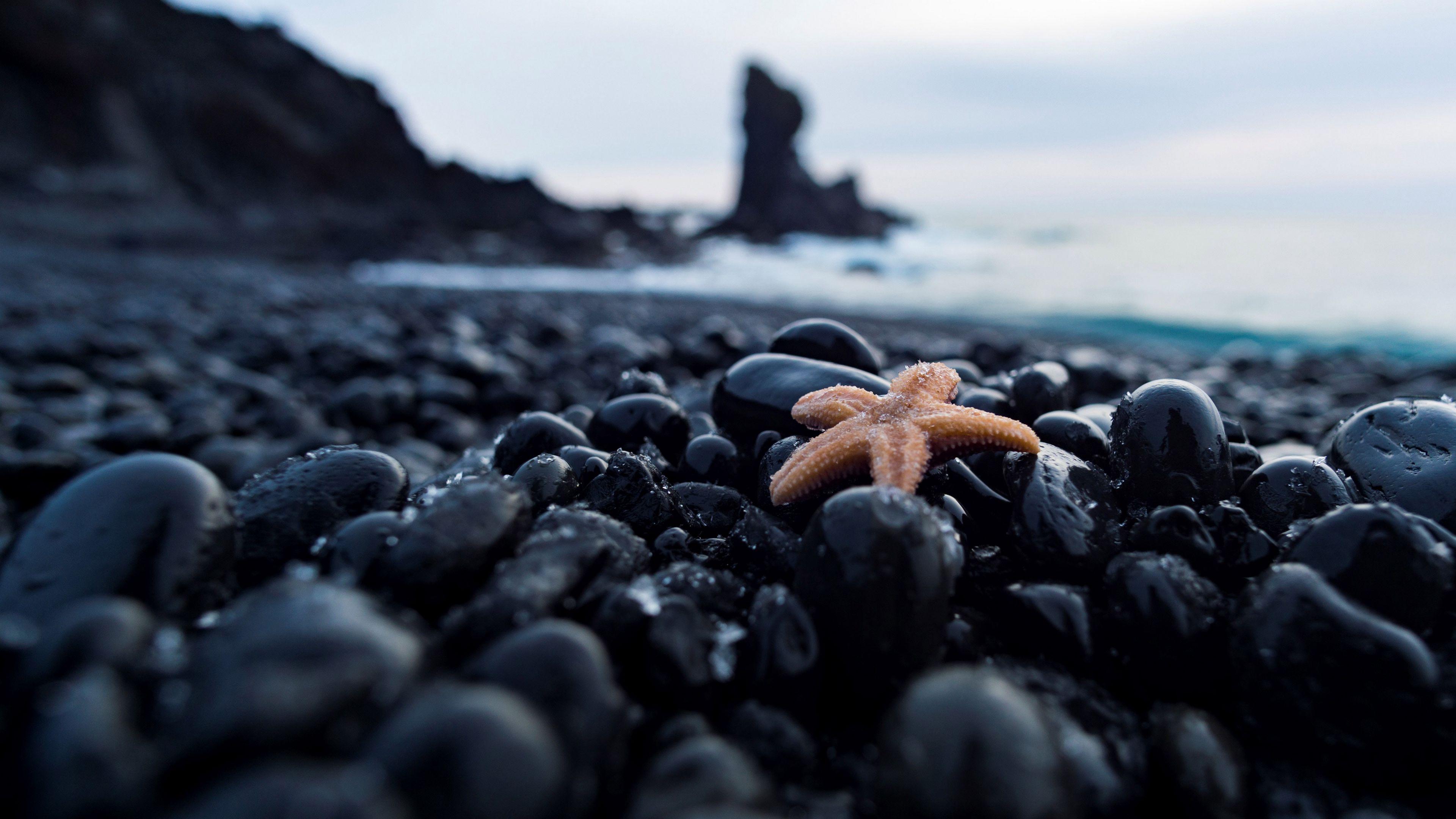 3840x2160 Download wallpaper 3840x2160 starfish, pebbles, stones, nautical 4k uhd 16:9 HD background