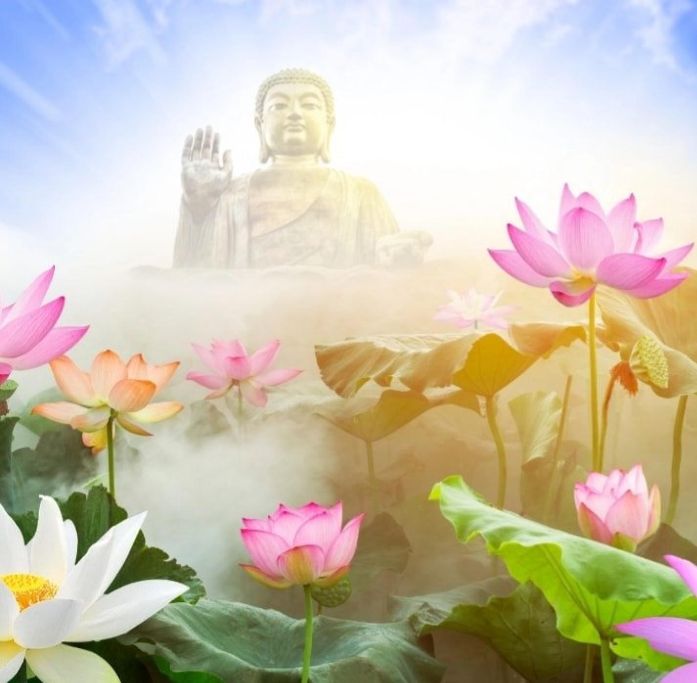 1426x1396 Statue of Buddha Sitting On Blooming Lotus, 27.06. 71×70 cm by David Brenna: History, Analysis & Facts