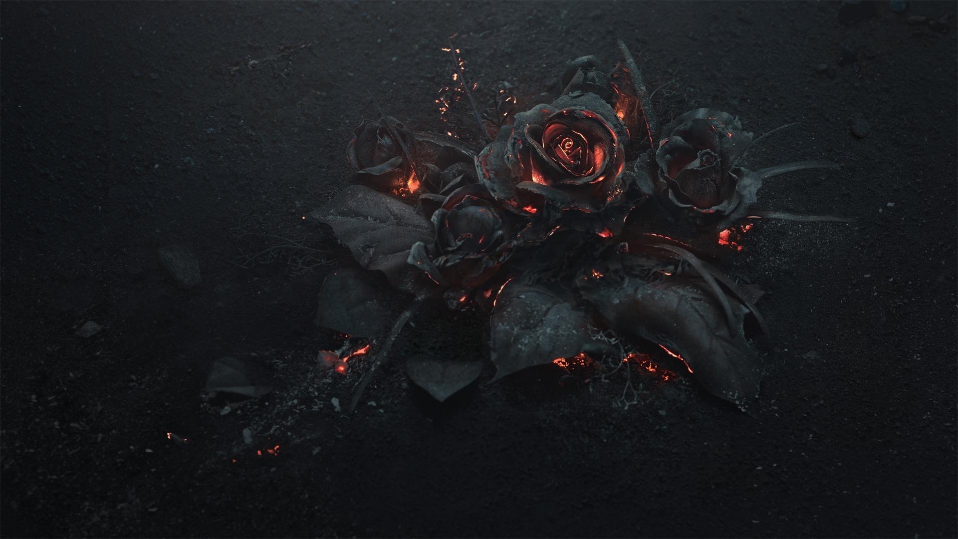 1920x1080 burning, black, roses, goth, fire, gothic, dark, hot, firefox persona theme Gallery HD Wallpaper