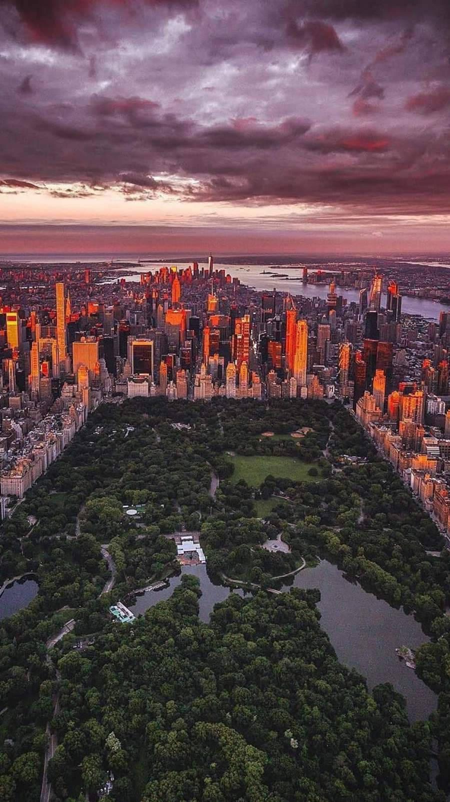 900x1602 Download New York HD iPhone Central Park Wallpaper