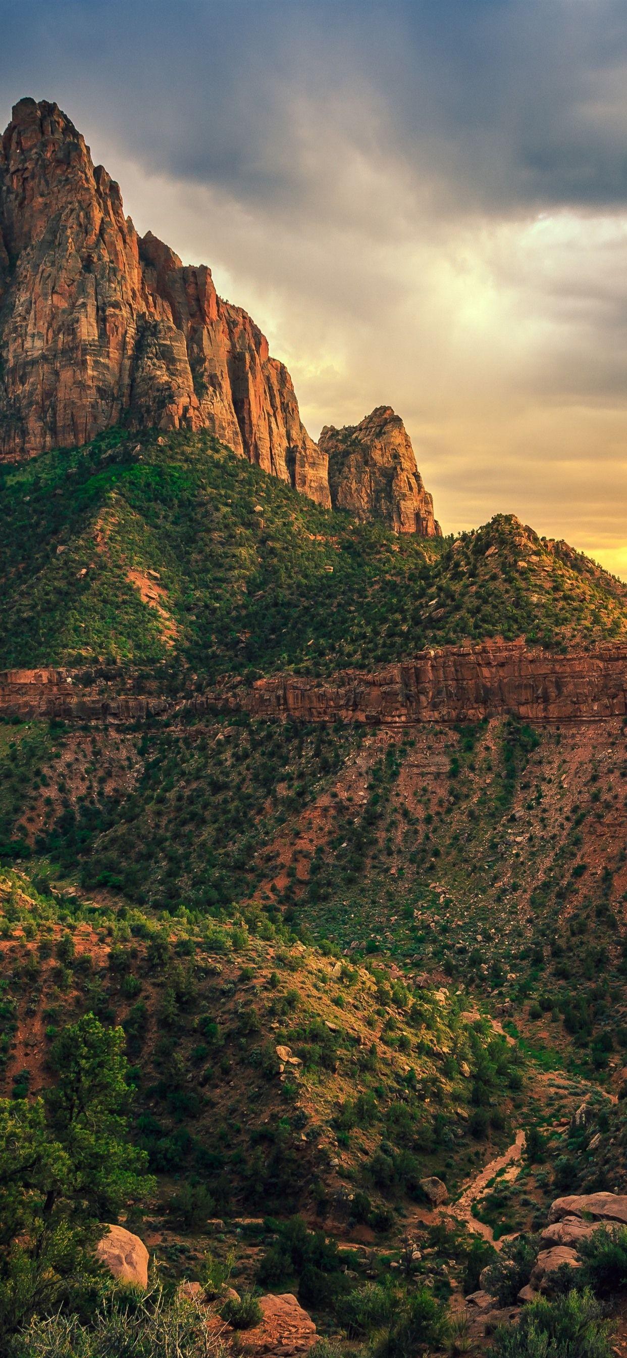 1242x2688 Zion National Park Phone Wallpaper