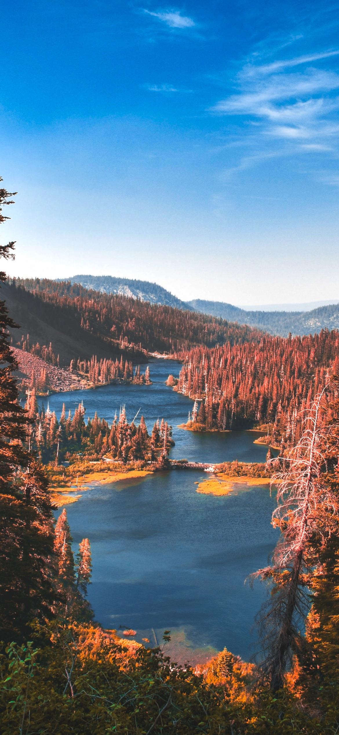 1170x2532 Yosemite National Park Wallpaper 4K, River, Forest, Autumn, Nature