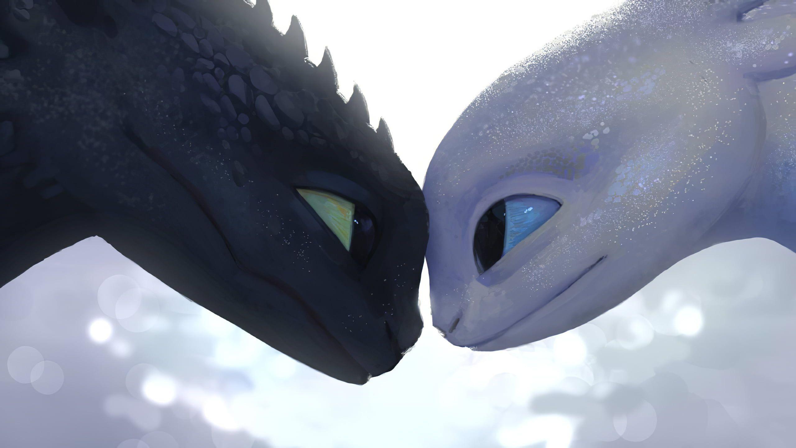 2560x1440 HD wallpaper: How to Train Your Dragon