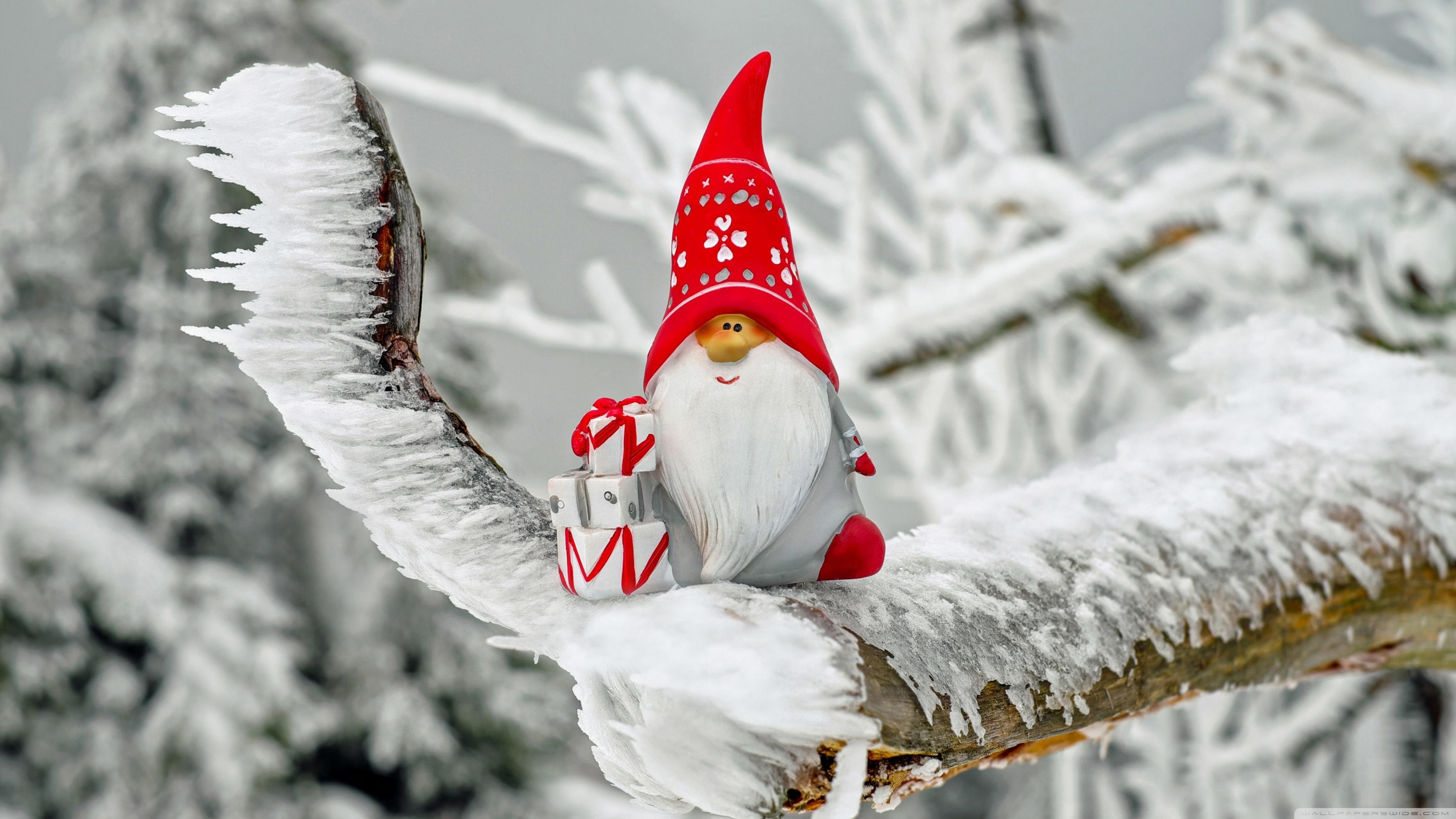 3554x1999 Christmas Gnome Ultra HD Desktop Background Wallpaper for 4K UHD TV : Widescreen & UltraWide Desktop & Laptop : Tablet