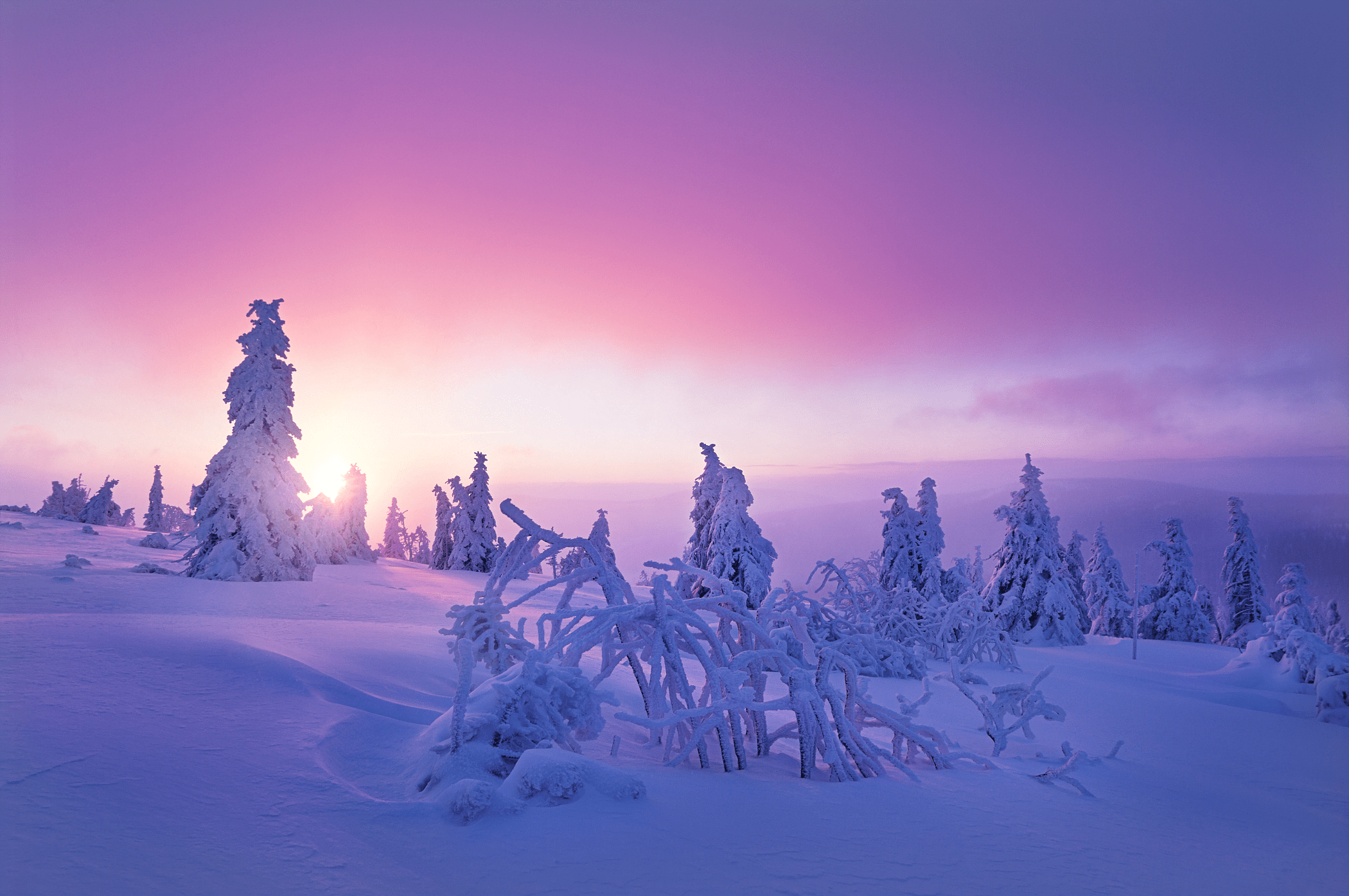 2100x1395 Fedora 25 Supplemental Wallpaper