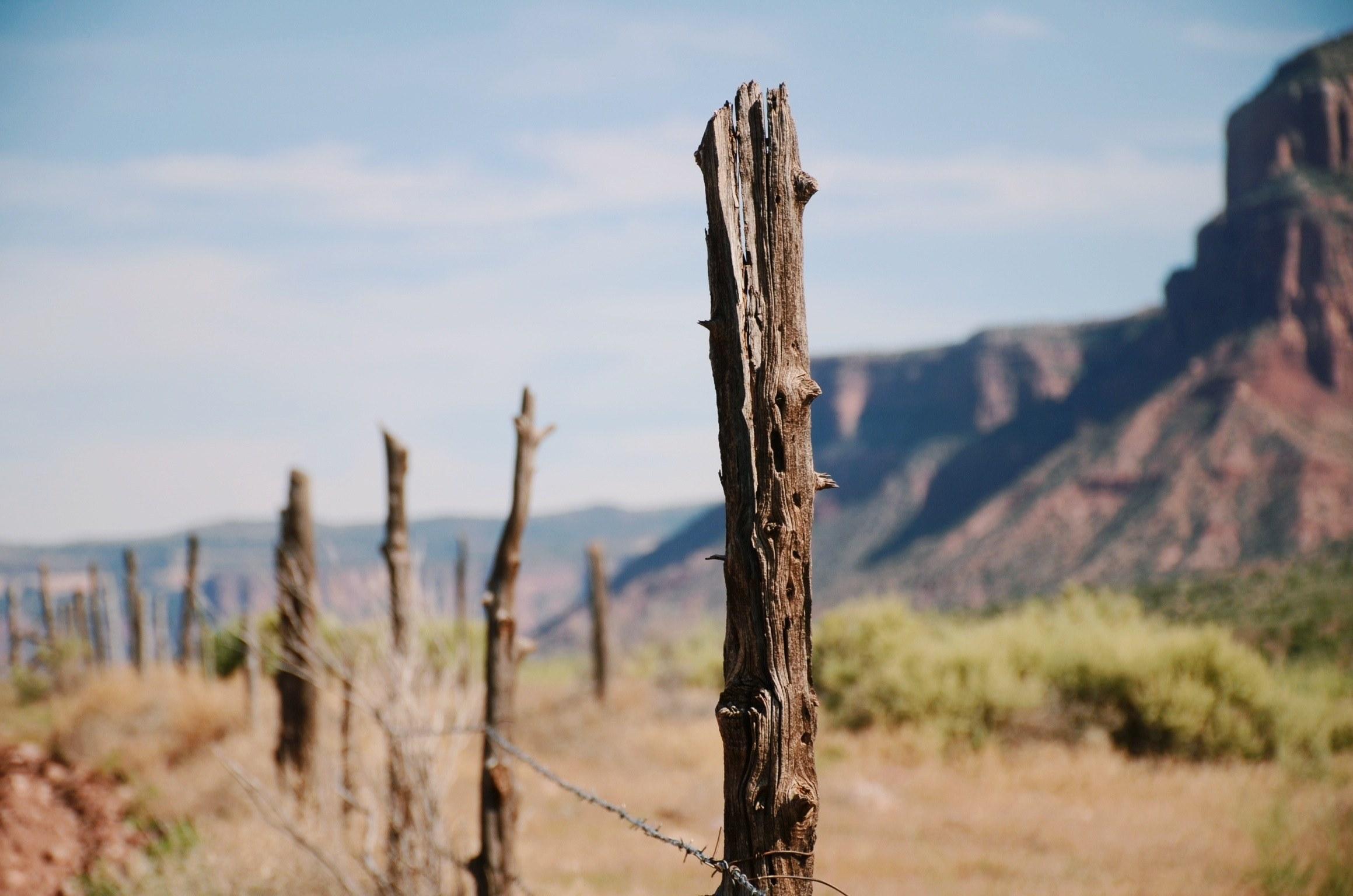 2319x1536 Wallpaper / summer wild west and outdoor HD 4k wallpaper free download