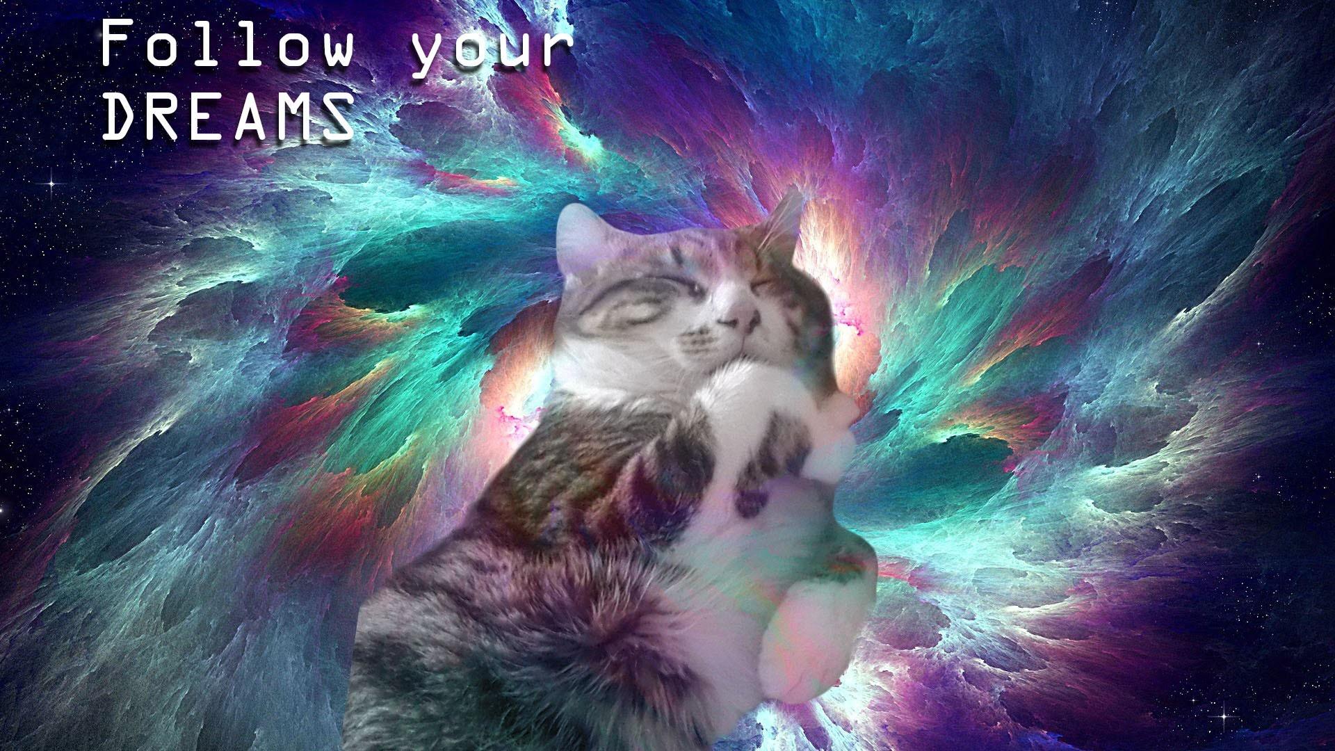 1920x1080 illustration, cat, space, sleeping, computer wallpaper, special effects, psychedelic art Gallery HD Wallpaper