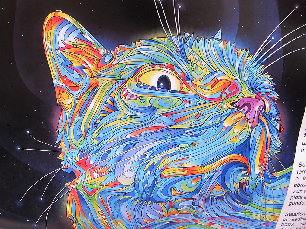 Psychedelic Cat Wallpapers - Top Free Psychedelic Cat Backgrounds ...