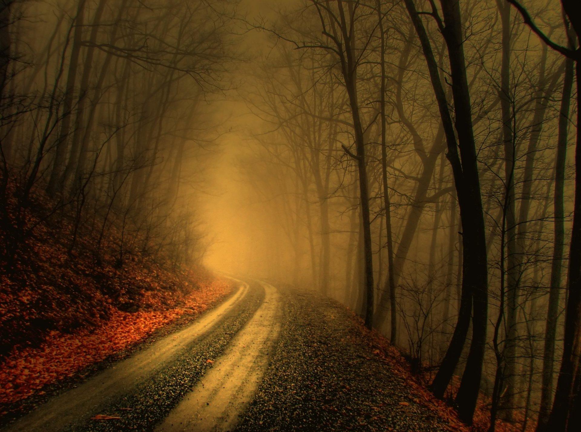 1920x1427 Fog HD Wallpaper and Background