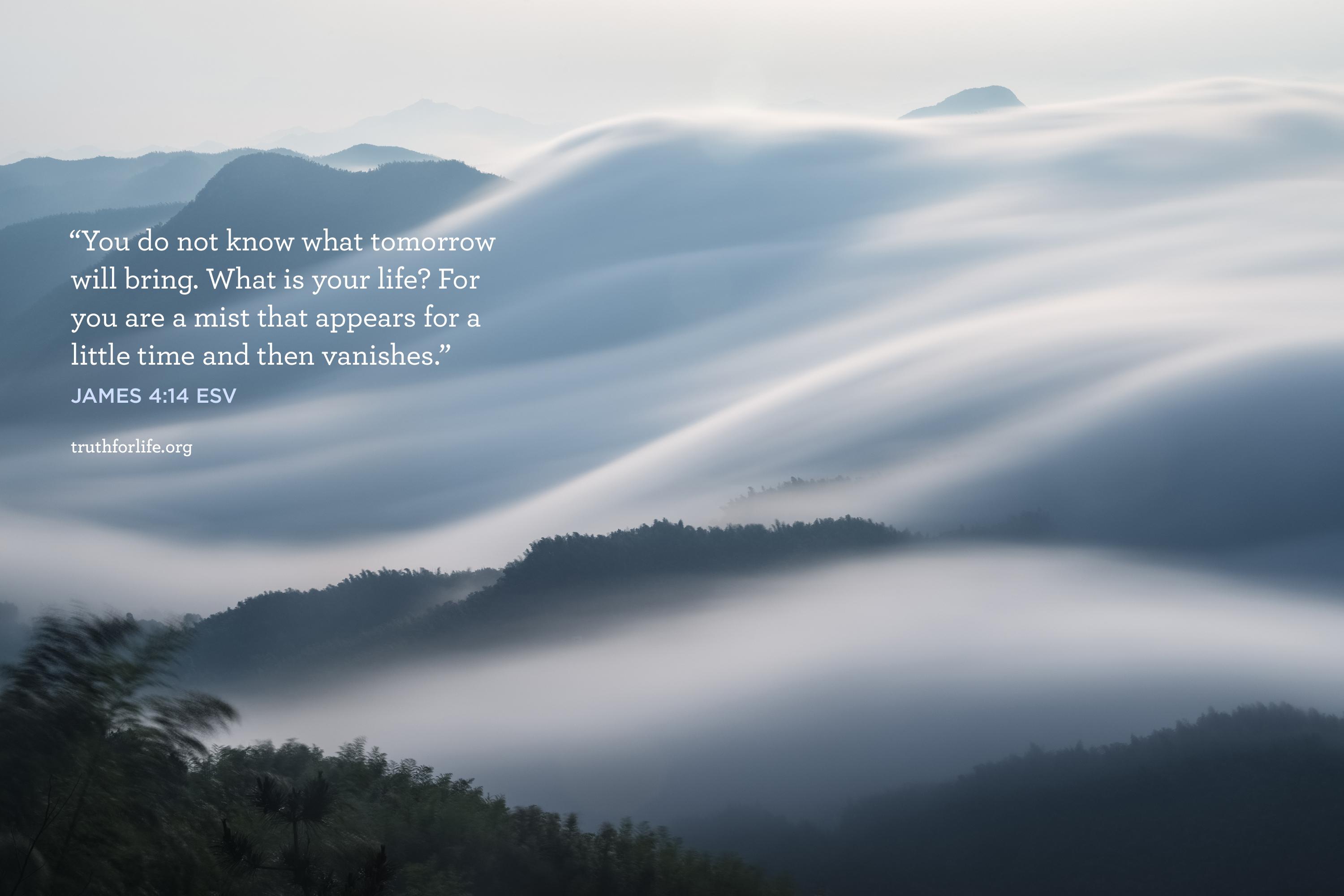 3000x2000 Mist: Wallpaper