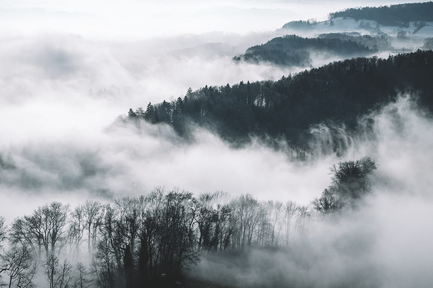1500x1000 How to Capture Breathtaking Photo of Mist and Fog