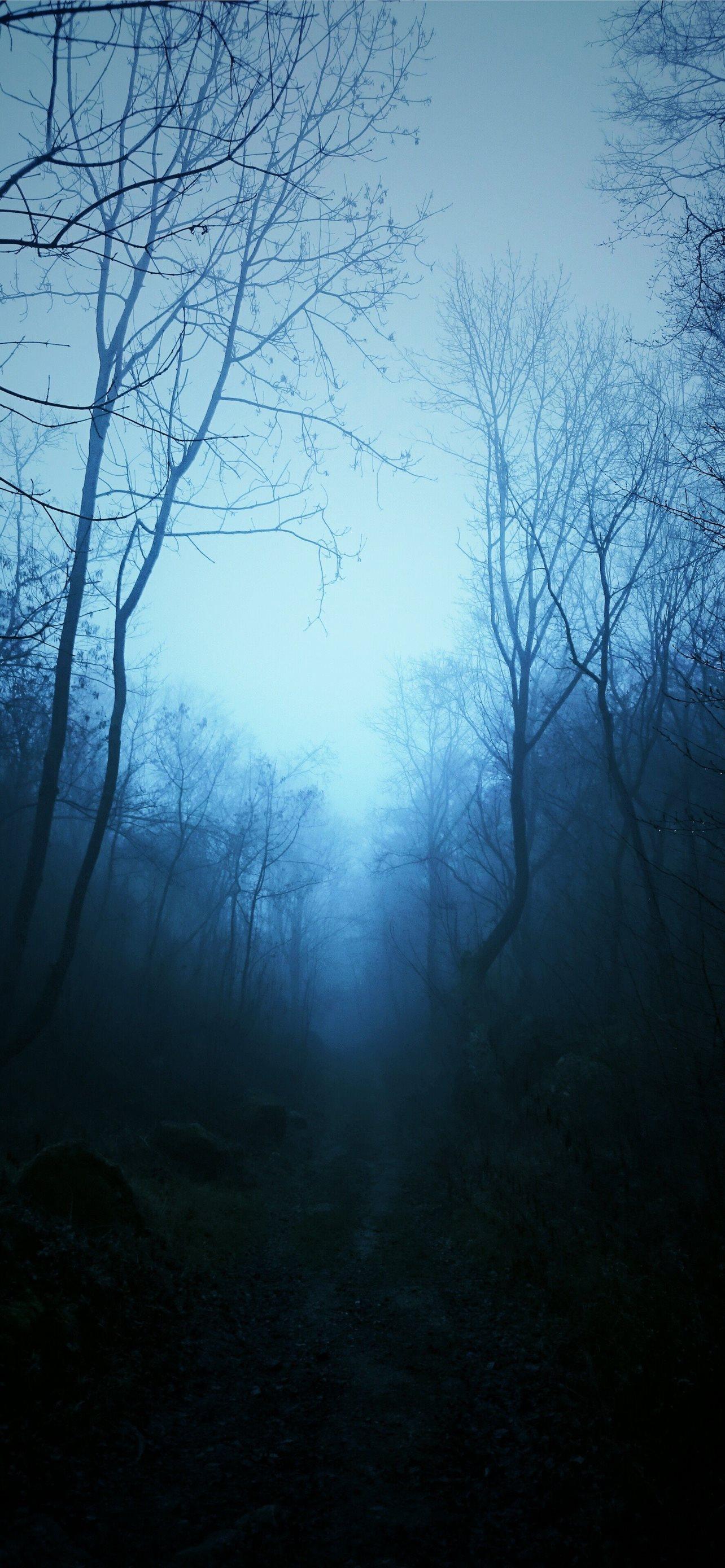 1284x2778 Latest Mist iPhone HD Wallpaper