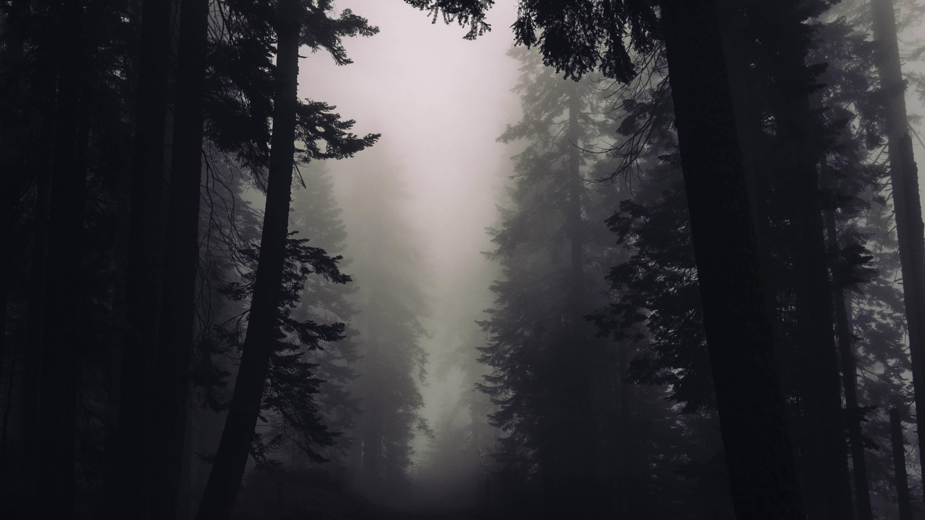 3840x2160 Gothic Art Wallpaper: 4K, HD, 1920x1080 Phone & Desktop Background