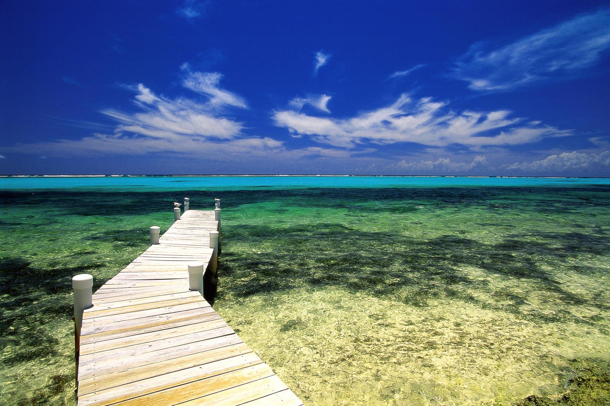 2000x1333 Free download Treasure beach and palms in Jamaica InfoHostelscom [2000x1333] for your Desktop, Mobile & Tablet. Explore Jamaica Beaches Desktop Wallpaper. Beaches Wallpaper, Wallpaper Beaches, Wallpaper Jamaica Beaches