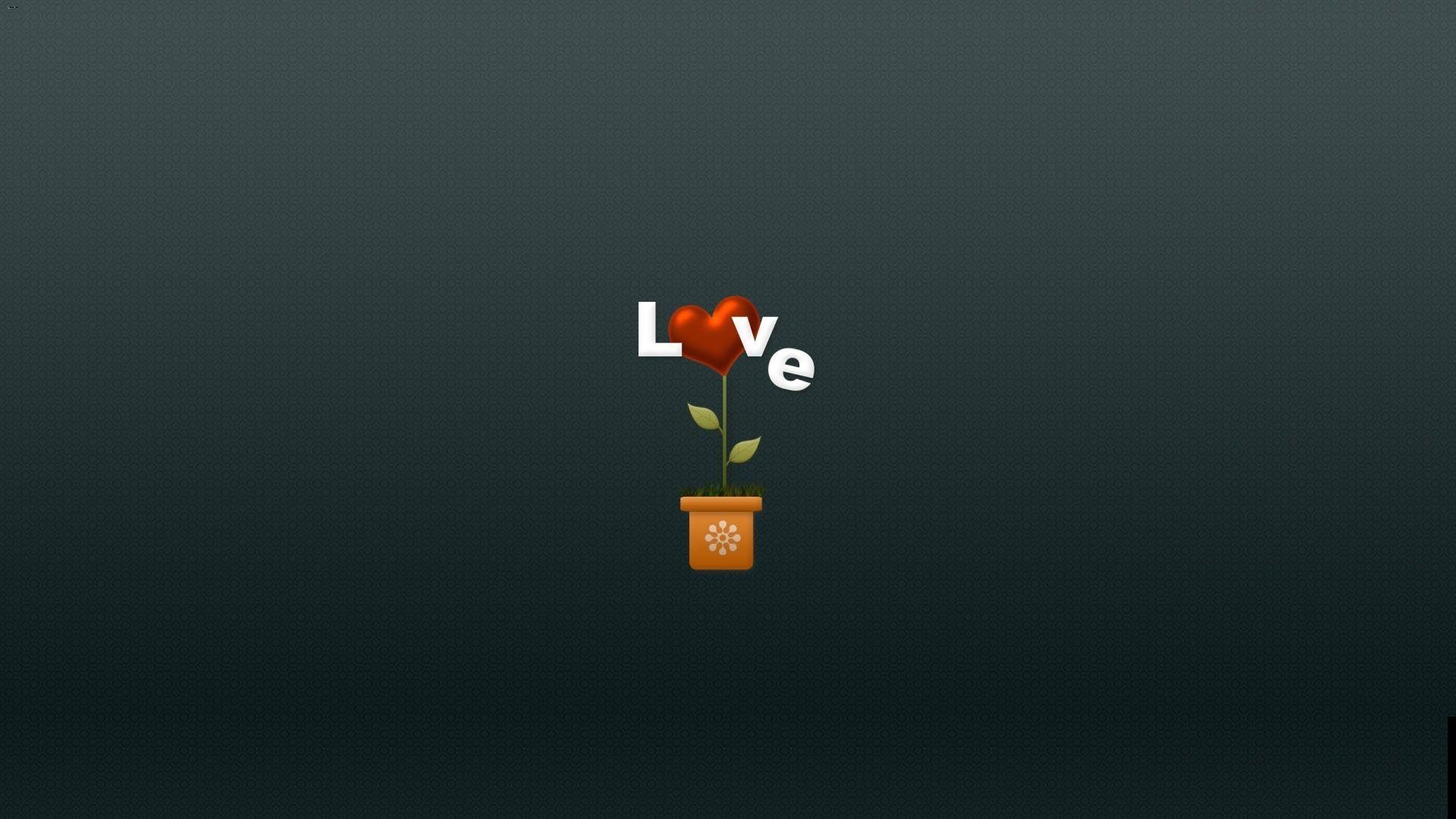 1920x1080 Love flower desktop PC and Mac wallpaper