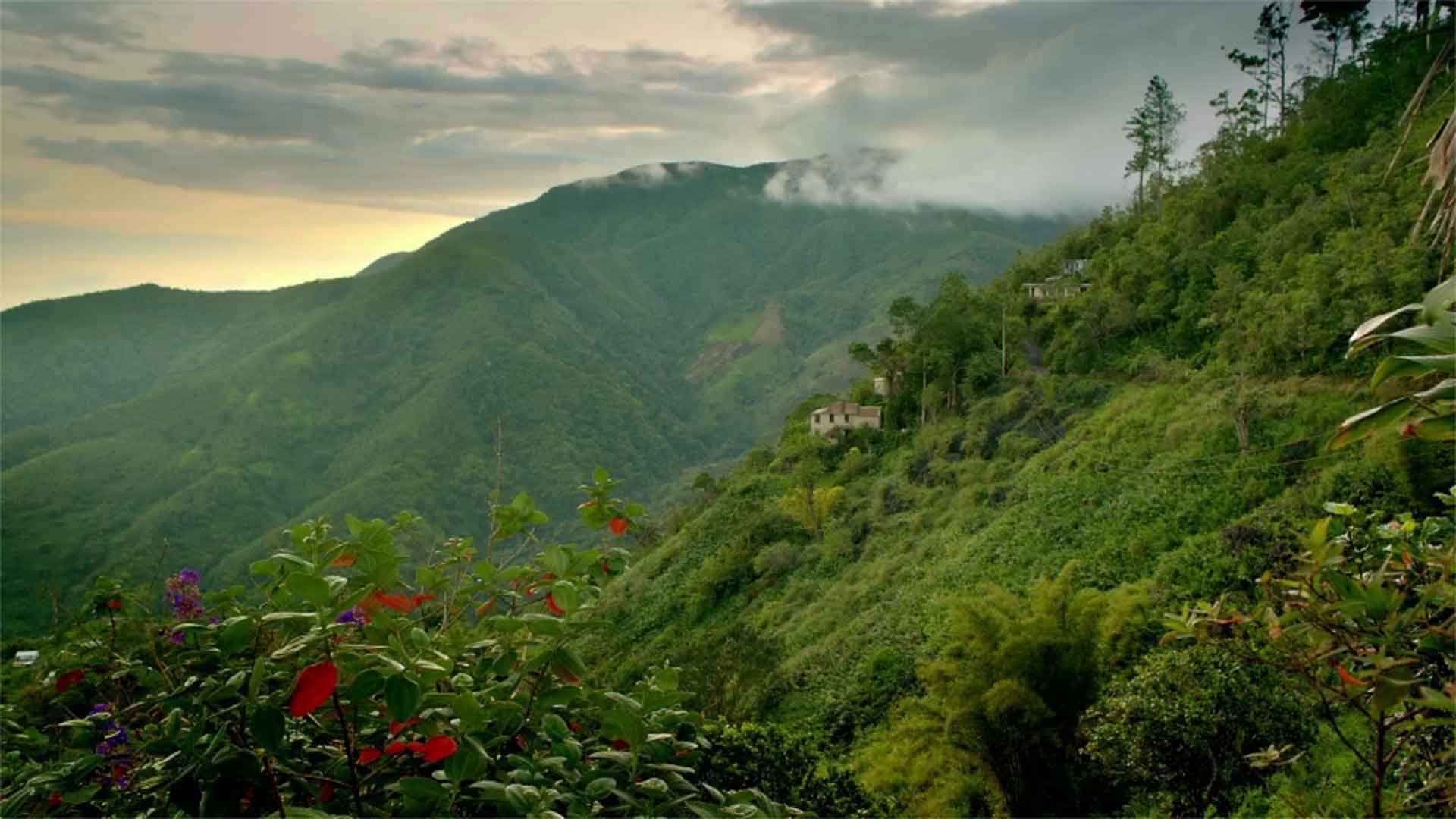 1920x1080 Jamaica Travel Tips. Useful Info for Travelers