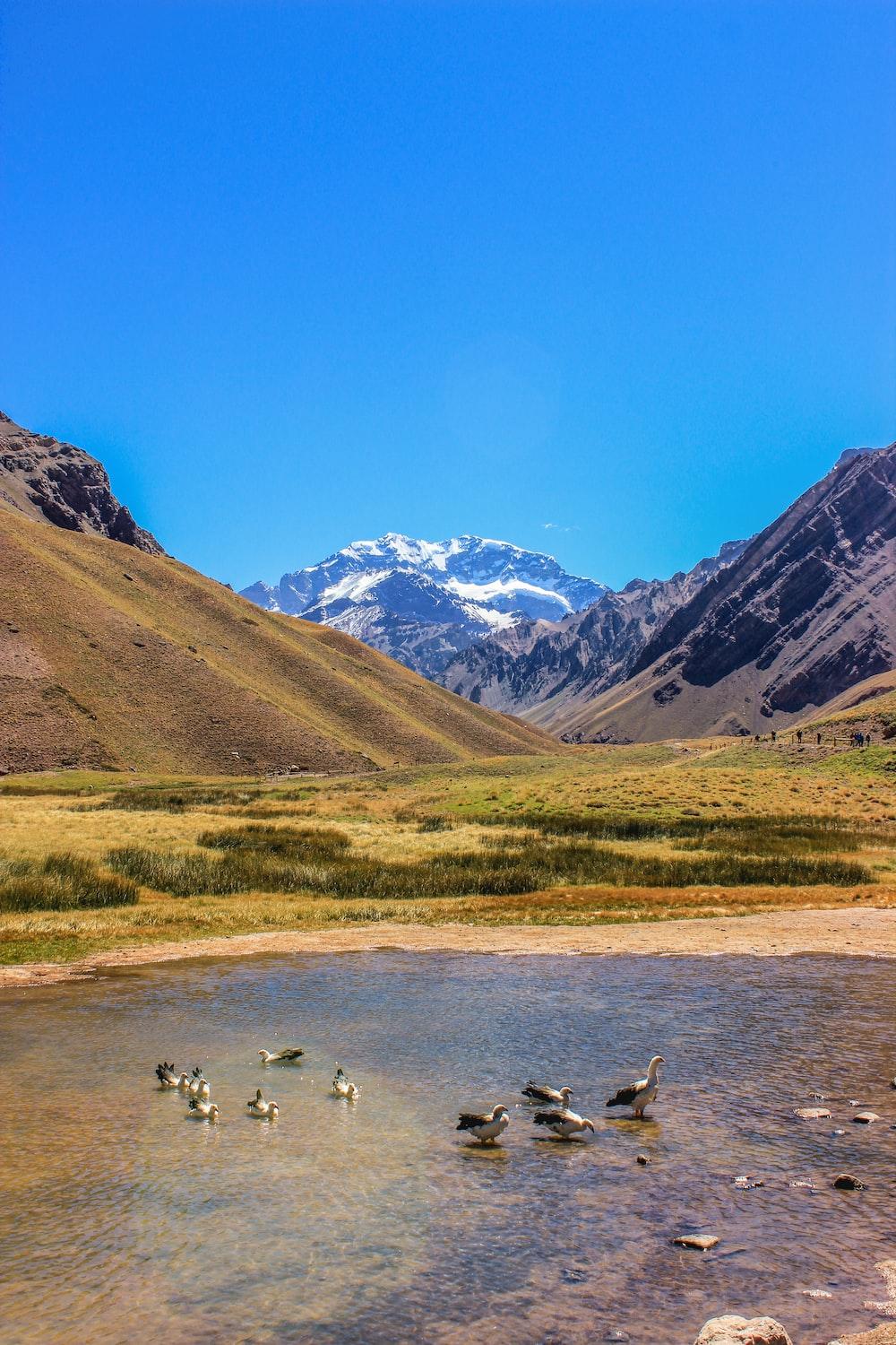 1000x1500 Aconcagua Picture. Download Free Image