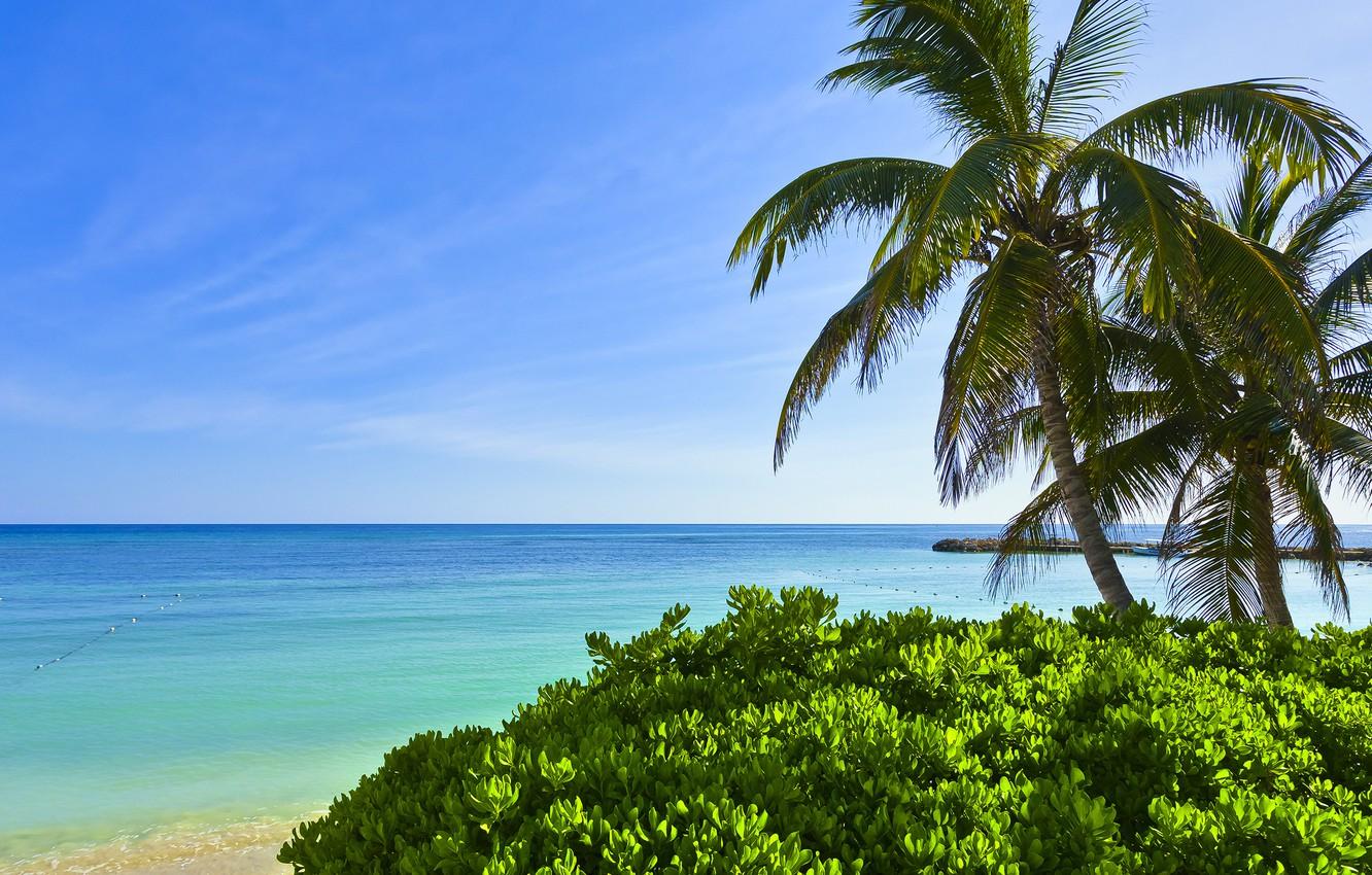 1332x850 Wallpaper sand, sea, palm trees, Jamaica image for desktop, section пейзажи