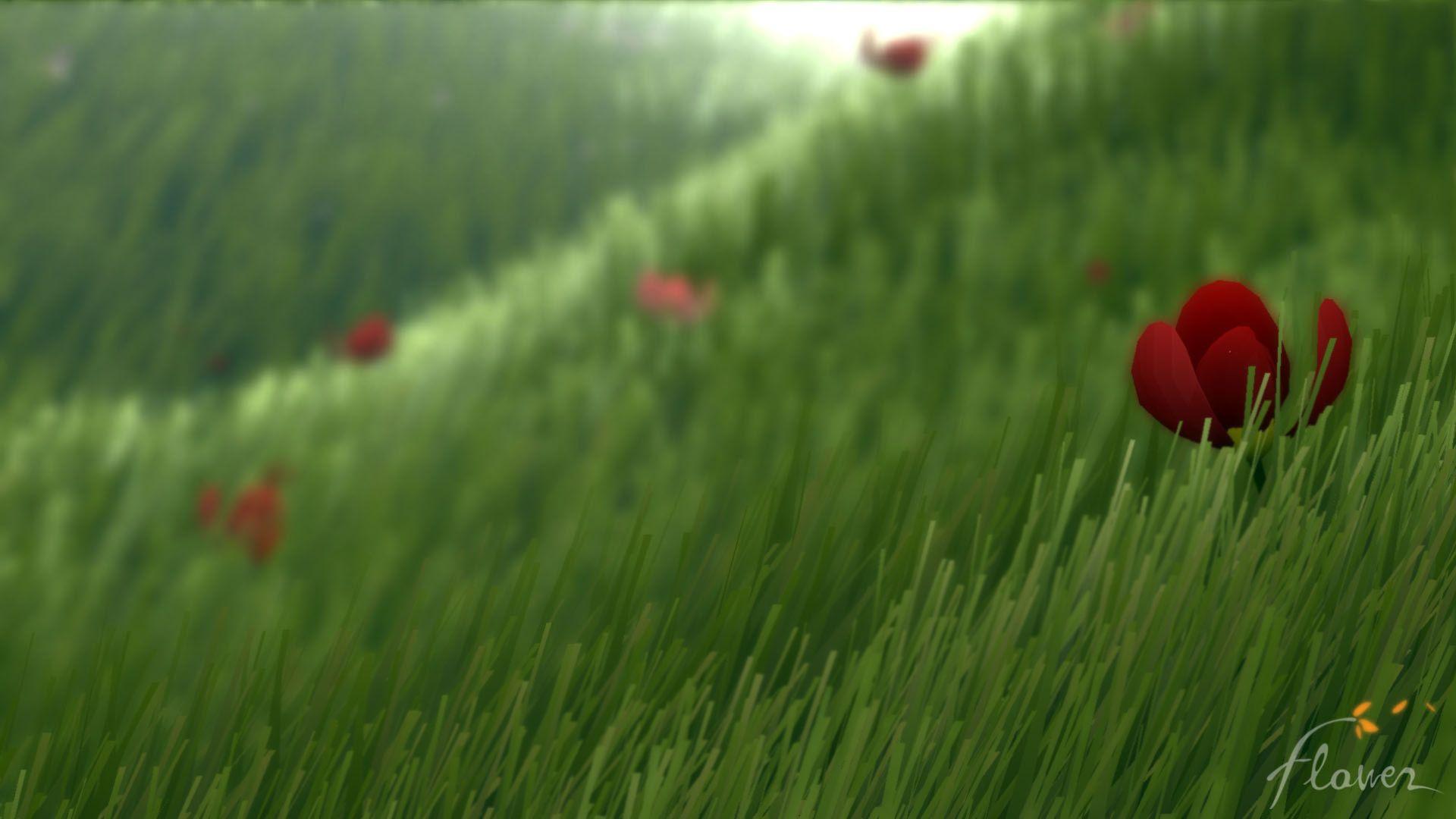 1920x1080 Serene Flower wallpaperx1080