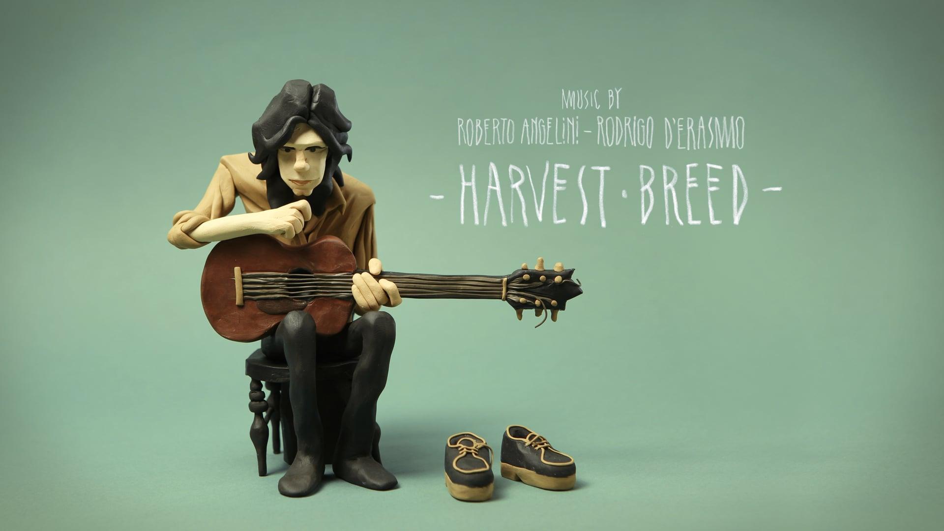 1920x1080 Roberto Angelini and Rodrigo D'Erasmo Breed (Nick Drake)