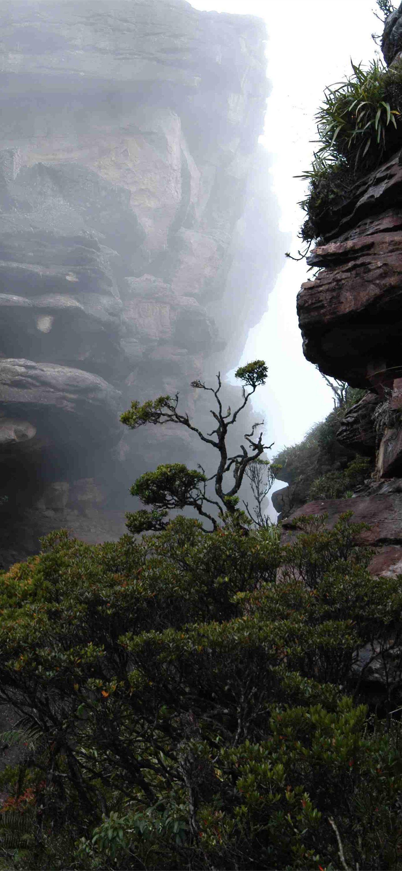 1284x2778 Best Mount roraima iPhone HD Wallpaper