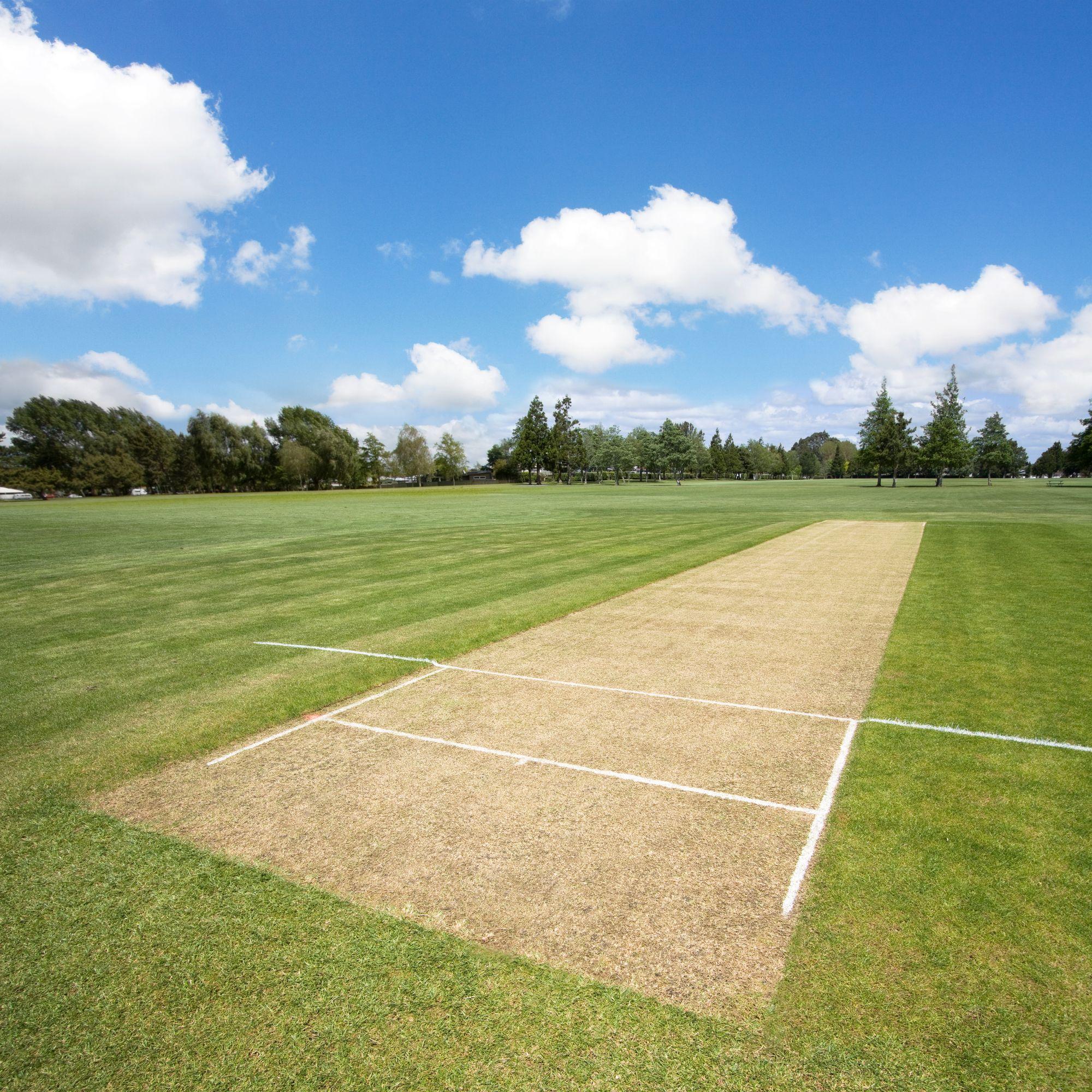 2000x2000 Cricket pitch in the sports park with copy space. Sport park, Photohop digital background, Cricket ground background for editing