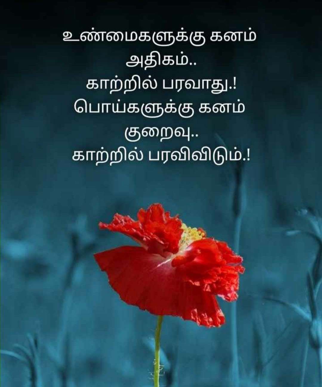 Tamil Quotes Wallpapers - Top Free Tamil Quotes Backgrounds ...