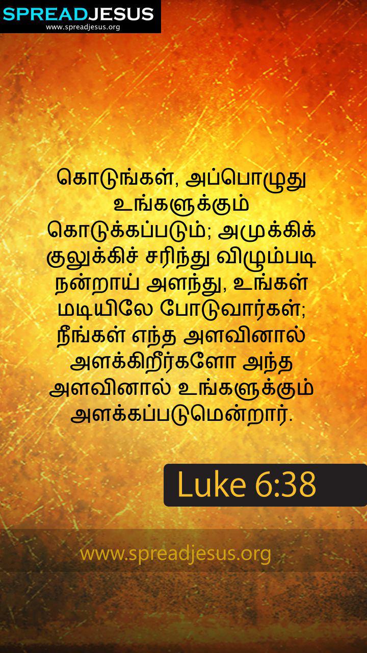 HD tamil quotes wallpapers  Peakpx