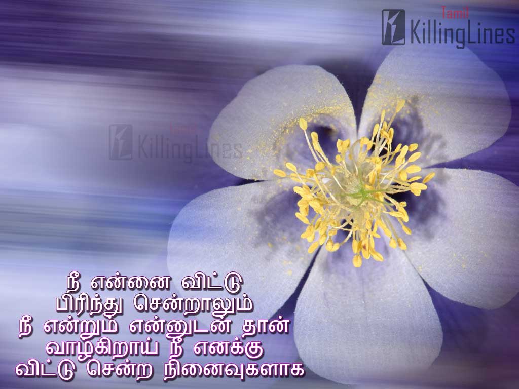 Tamil Quotes Wallpapers - Top Free Tamil Quotes Backgrounds ...