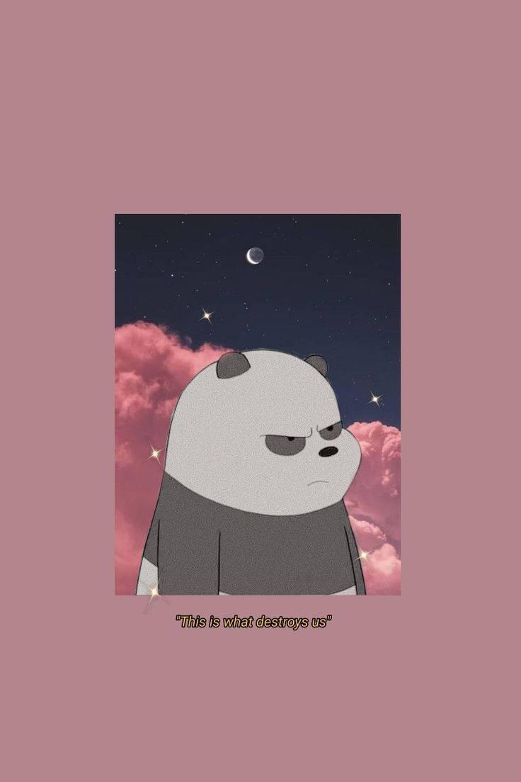 Angry Panda Wallpapers - Top Free Angry Panda Backgrounds - WallpaperAccess