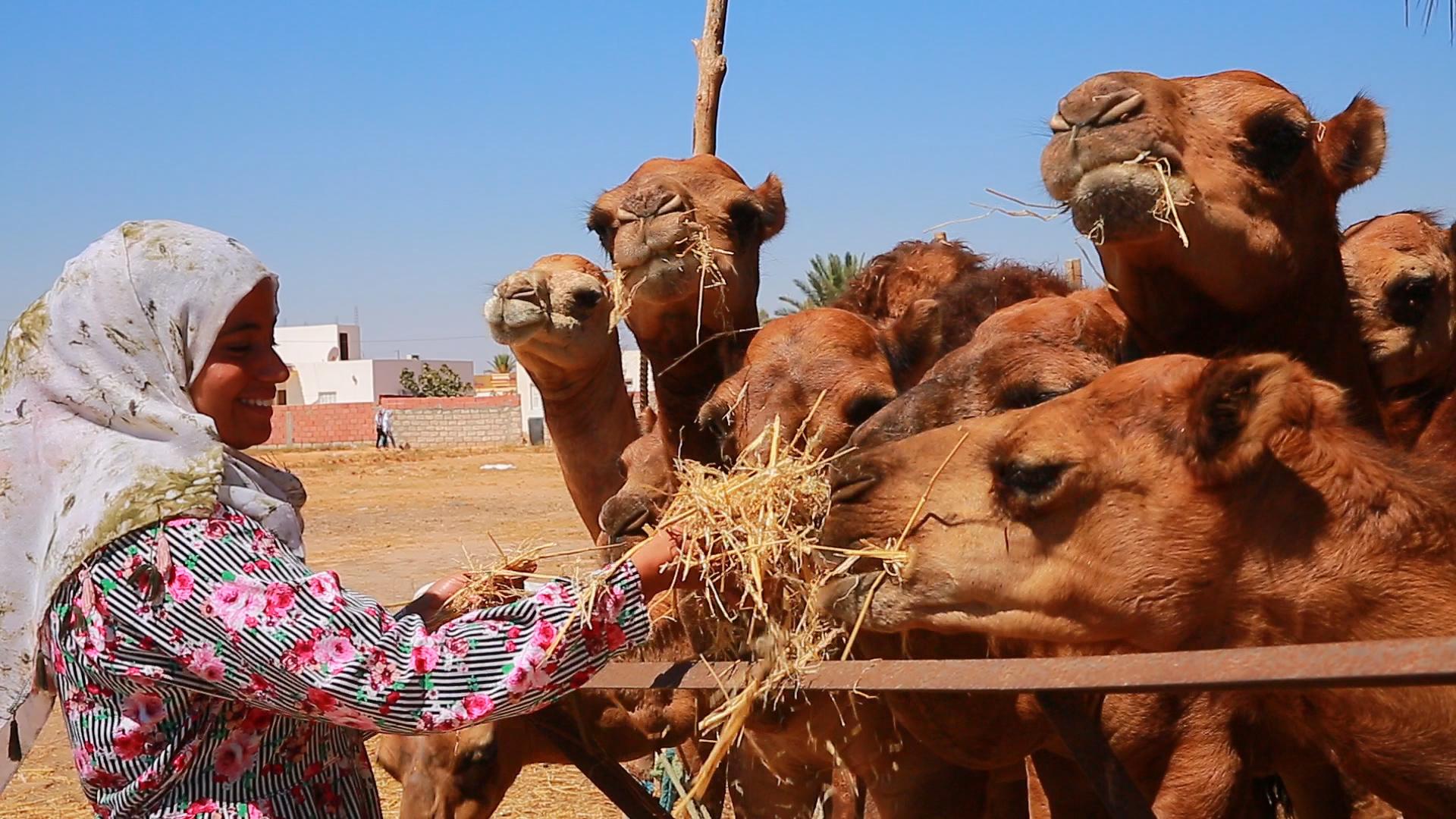 1920x1080 The first woman camel farmer in North Africa: Imen's story