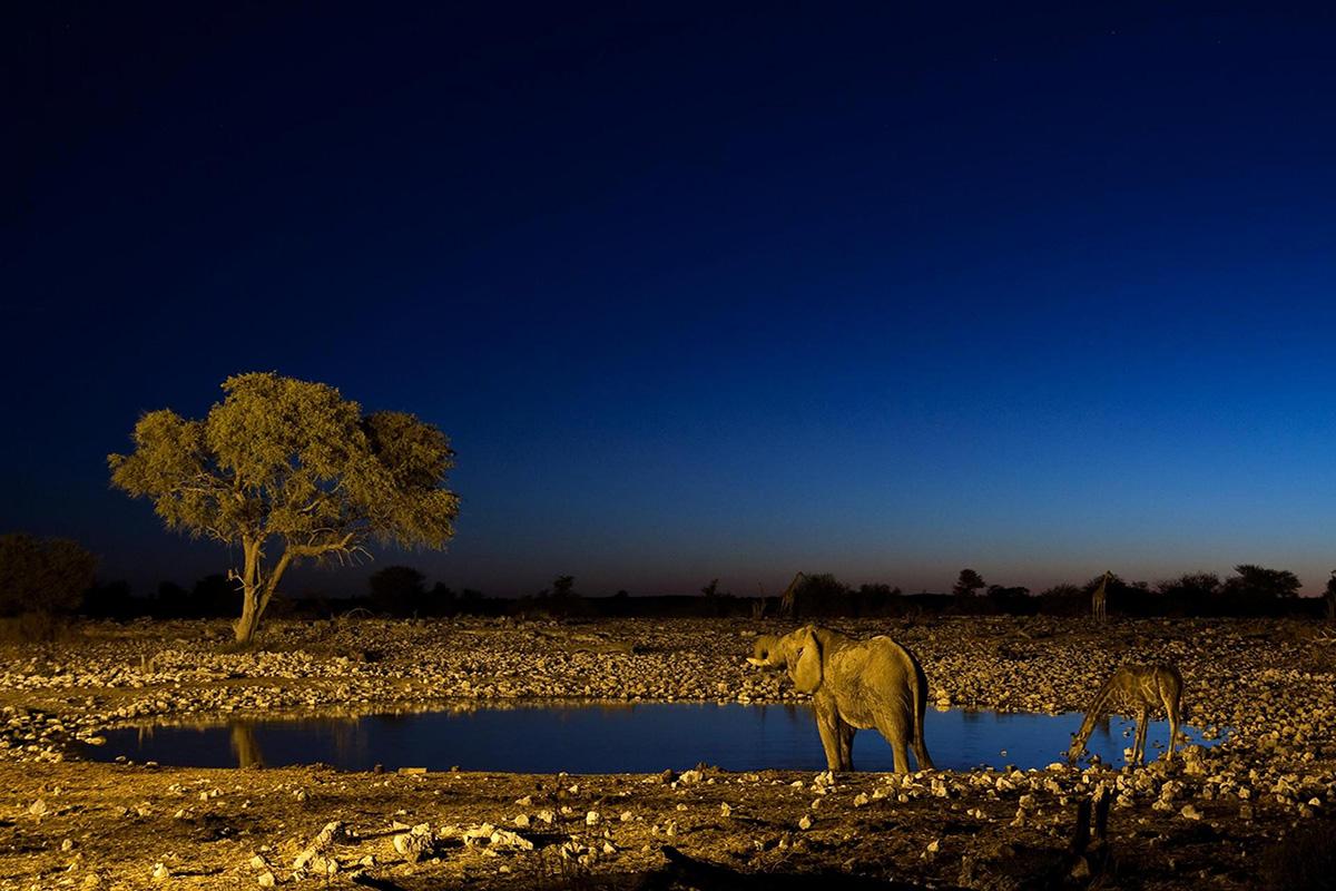 1200x800 North Africa