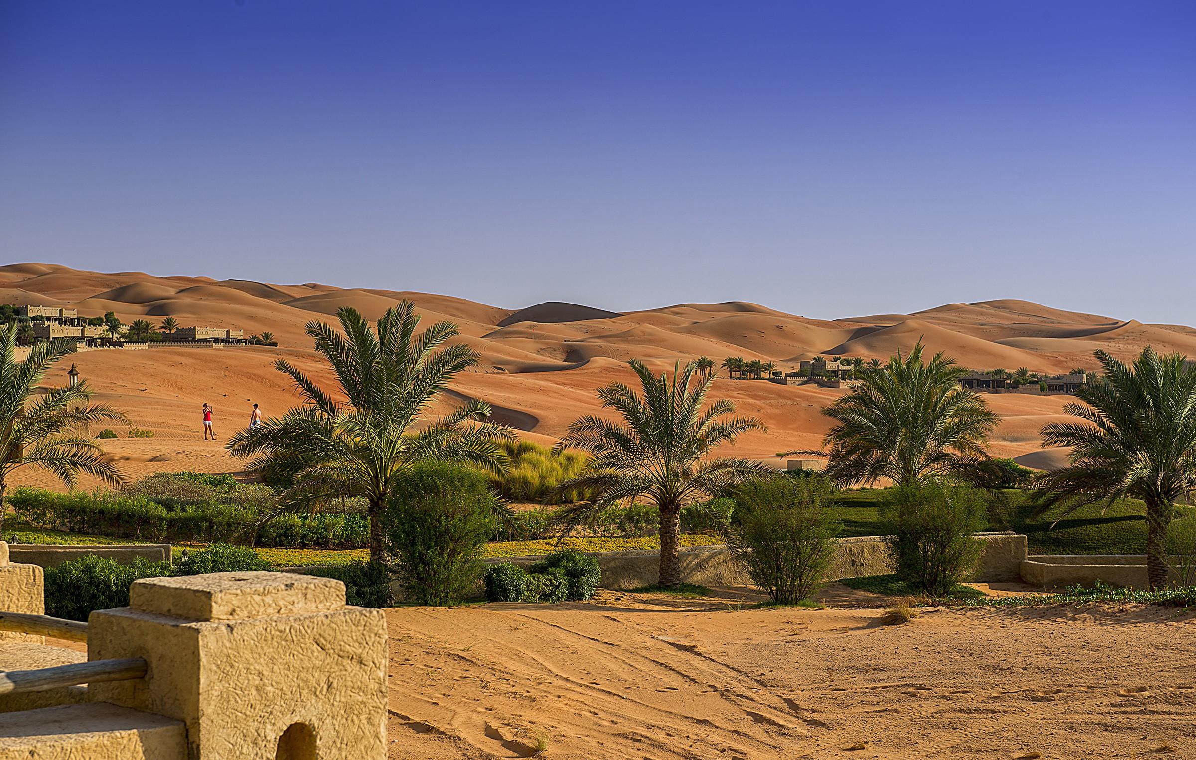2400x1525 Abu Dhabi, Emirates UAE, Desert, Hill, Palms Gallery HD Wallpaper
