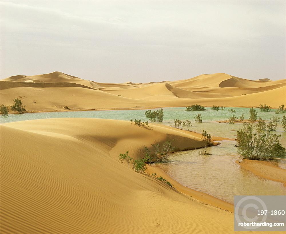 1000x820 Flood waters in Algerian Sahara