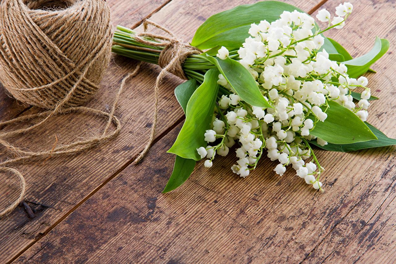 1280x853 Fonds d'ecran Muguet de mai Bouquets Fleurs télécharger photo