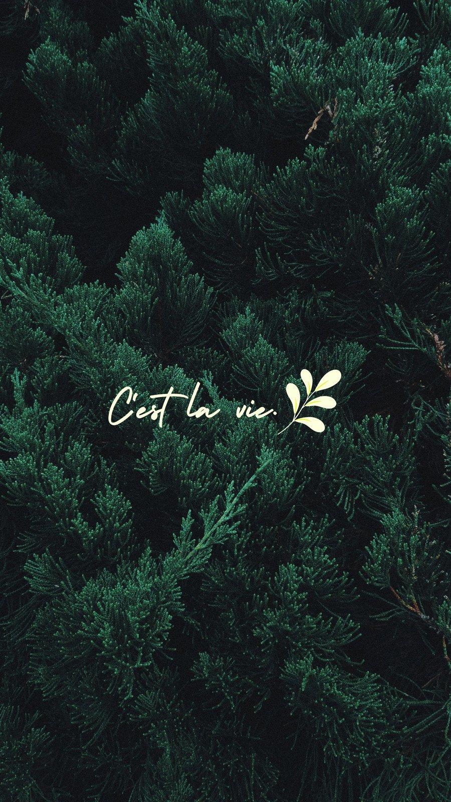 900x1600 Customize Minimalist Phone Wallpaper Templates Online