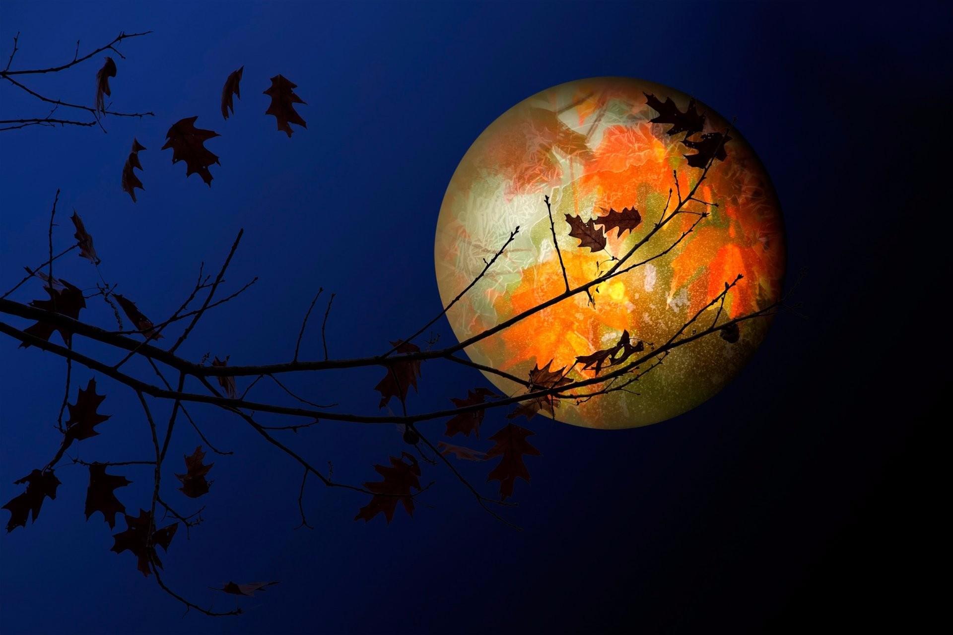 Moon Fall Wallpapers - Top Free Moon Fall Backgrounds - WallpaperAccess