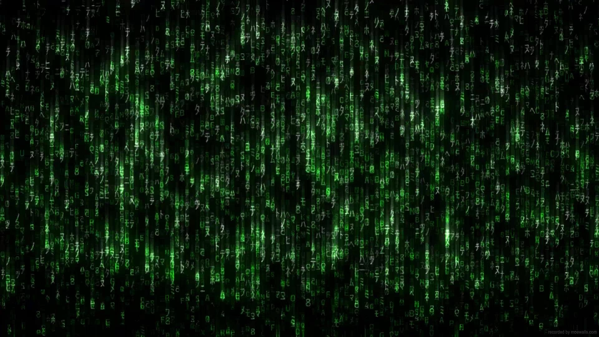 Matrix Rain Wallpapers - Top Free Matrix Rain Backgrounds - WallpaperAccess